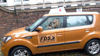 Fake Driving School - Louise Lee kedveli a gigászi fügyit
